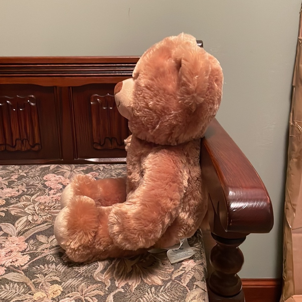 Build-A-Bear - Picture 4 of 11